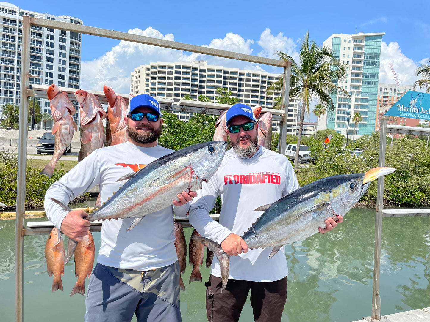 Blue FLFIED Icon Snap Back
